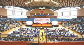 創新金融服務手段 提供正規金融產品