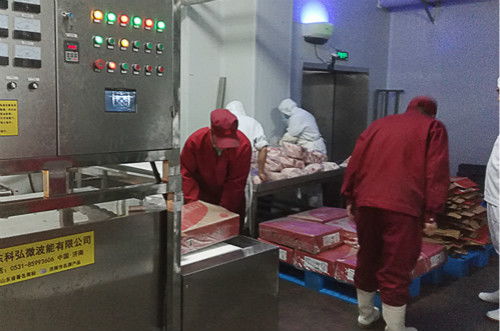 微波解凍技術(shù)工藝 國內(nèi)冷凍食品加工廠的技術(shù)革新焦點(diǎn)
